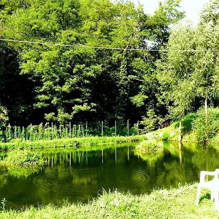 酒店 贝拉焦酒店 3*